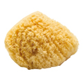 Natural Sea Sponges